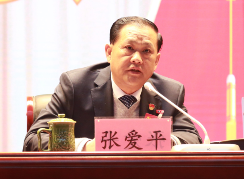 张爱平同志宣读中共天空平台_天空（中国第一届党委成员分工及纪委成员分工